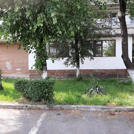 Kriss Apartment Luxury Targu Jiu Bagian luar foto